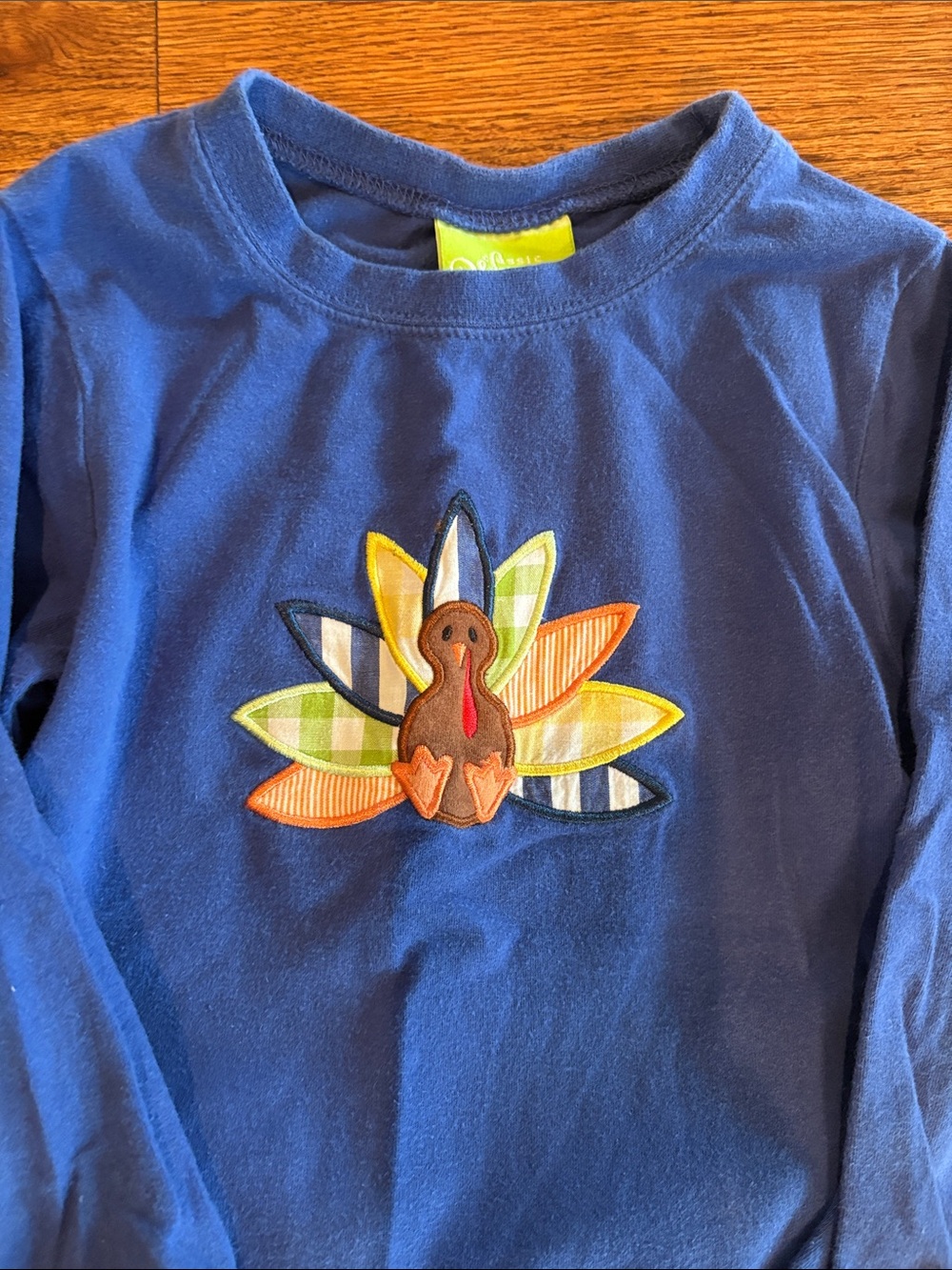 2 classic whimsy Blue Long-Sleeve pajamas with Appliqué Turkey. Sz 2T and 5